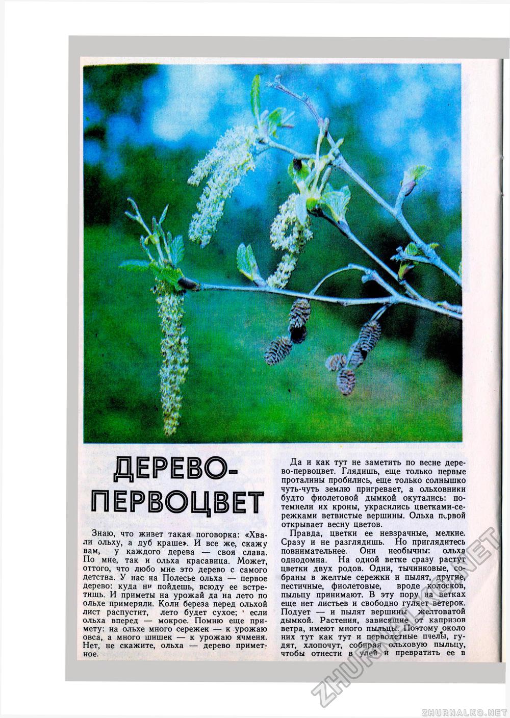 Юный Натуралист 1980-04, страница 36