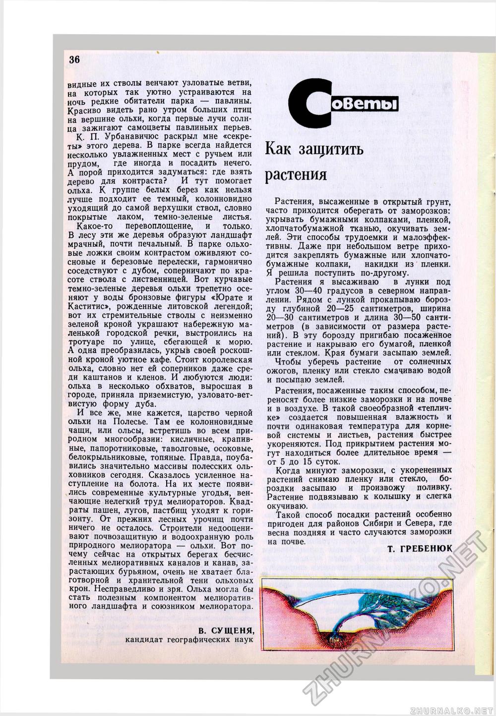 Юный Натуралист 1980-04, страница 38
