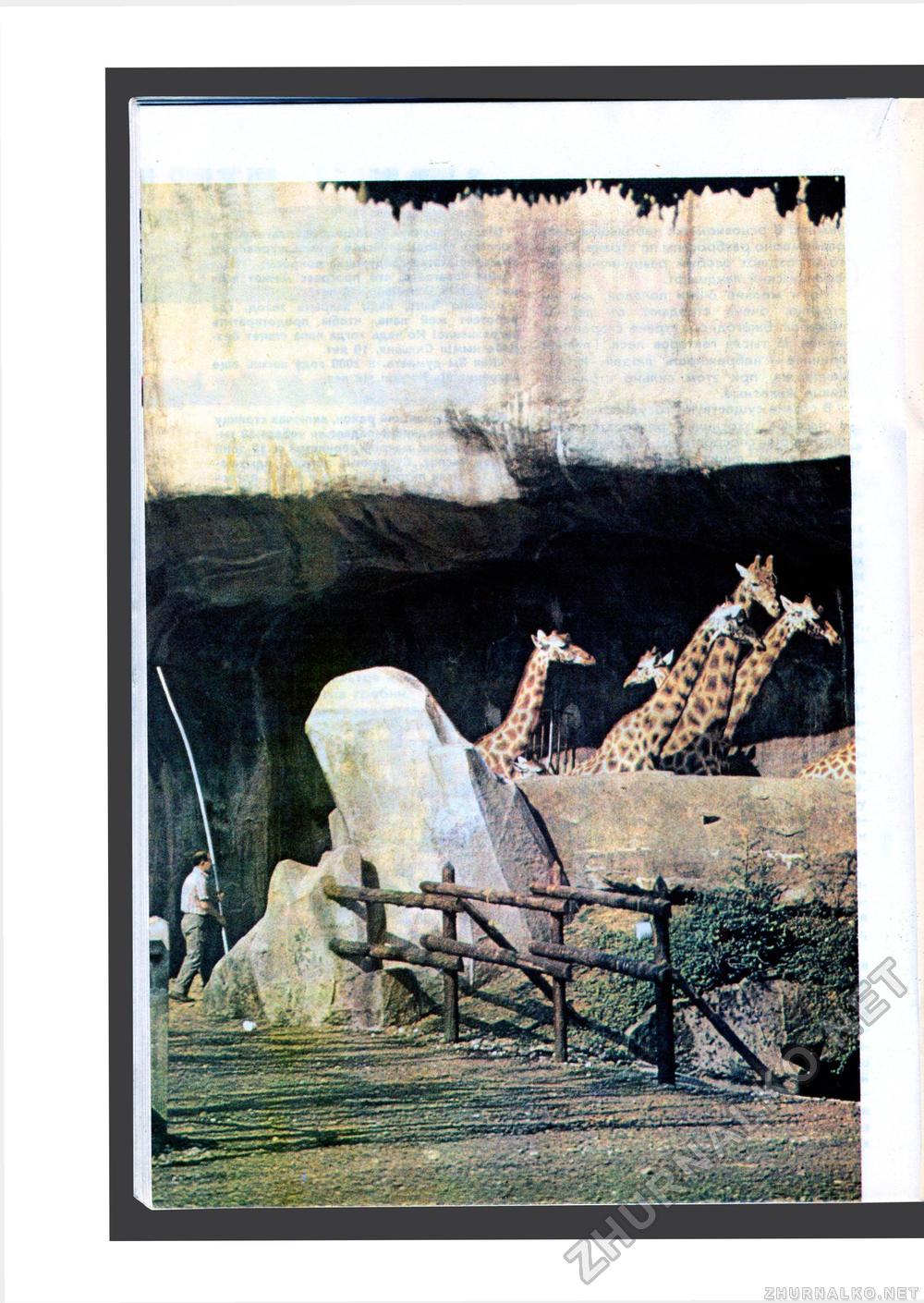 Юный Натуралист 1986-06, страница 30