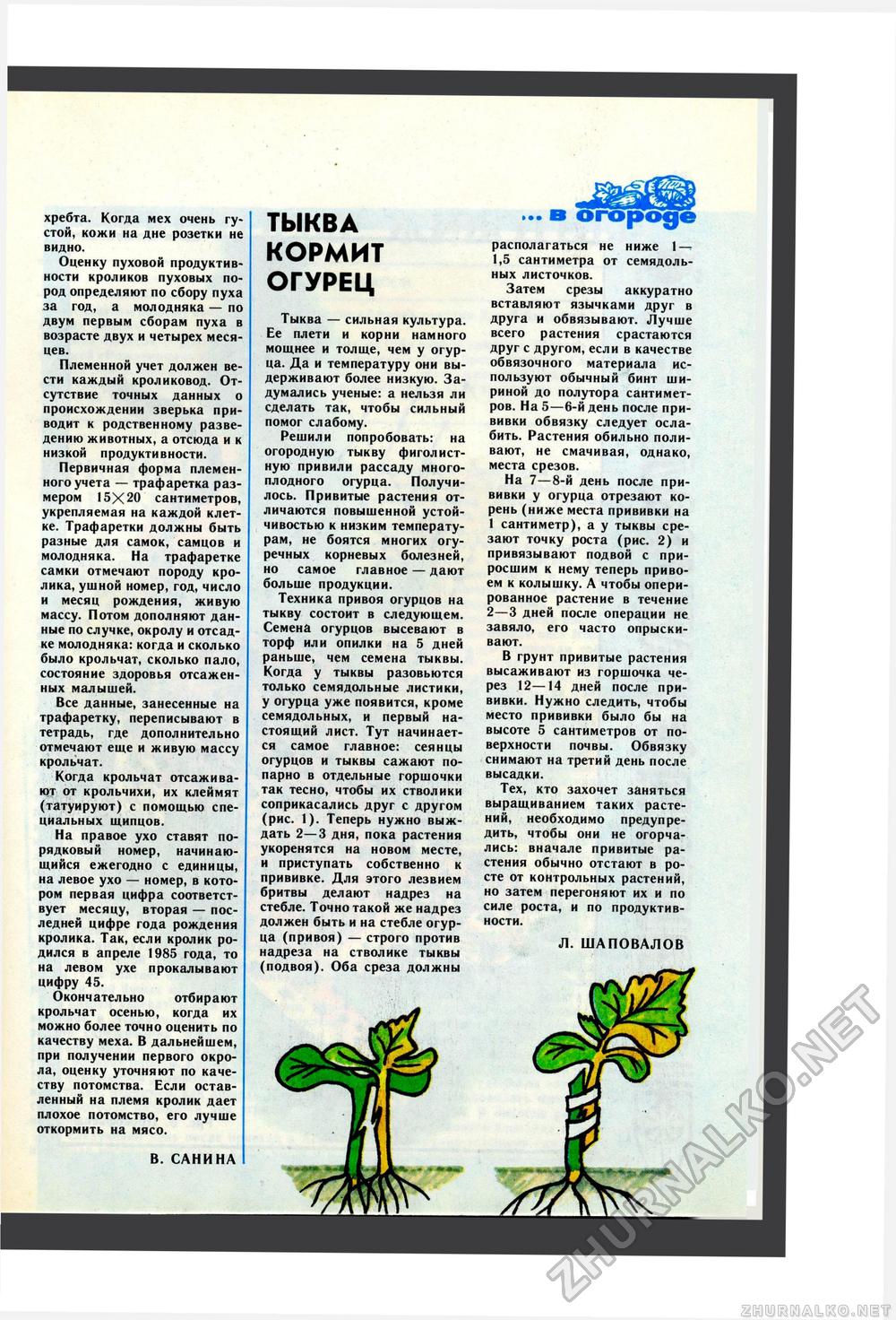 Юный Натуралист 1986-06, страница 43