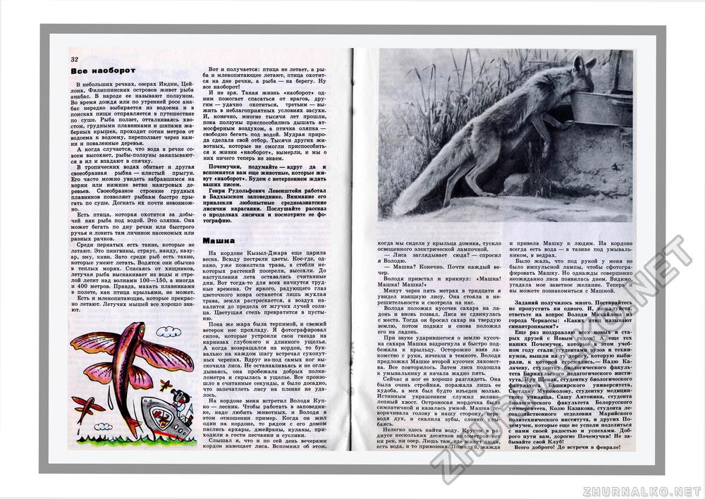 Юный Натуралист 1981-01, страница 24