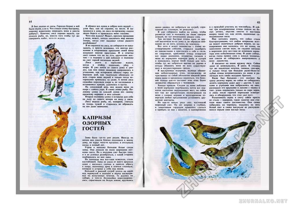 Юный Натуралист 1981-01, страница 31