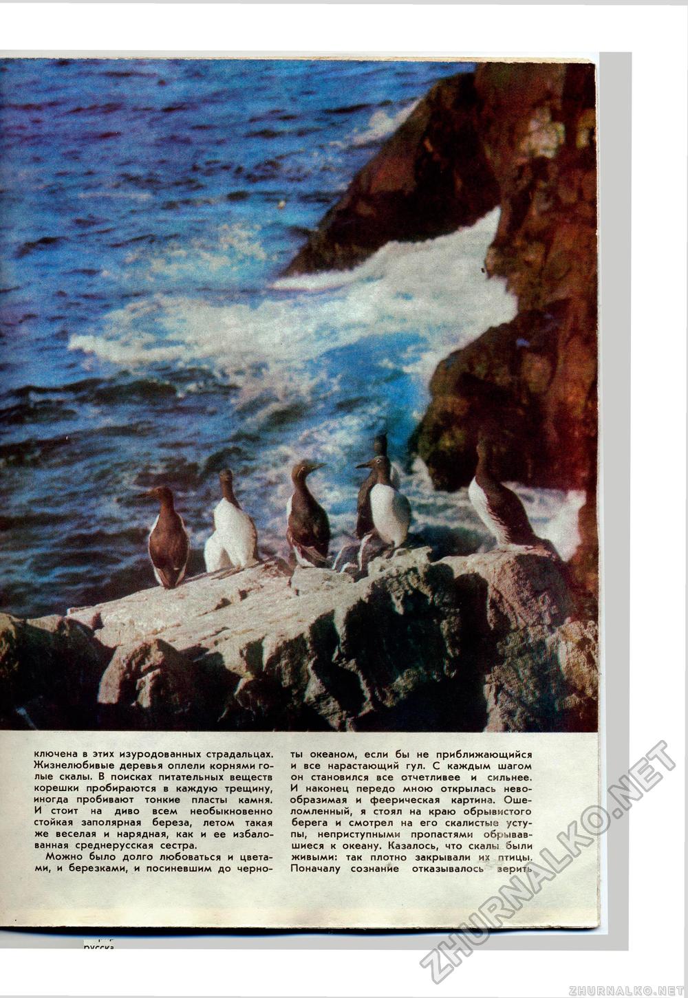 Юный Натуралист 1976-07, страница 31