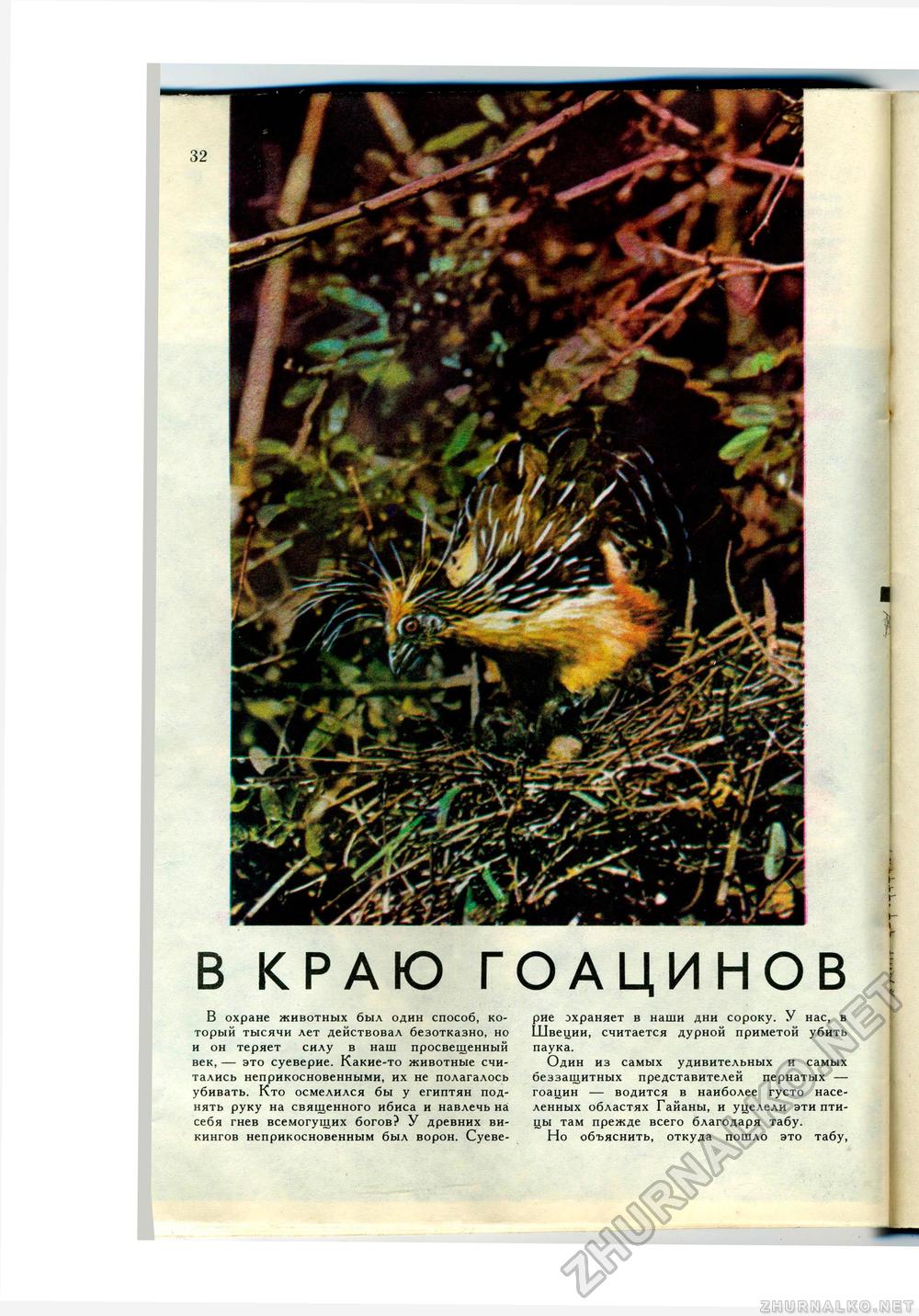 Юный Натуралист 1976-07, страница 34
