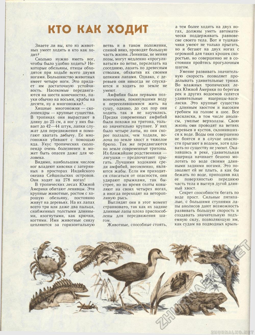 Костёр 1988-08, страница 42