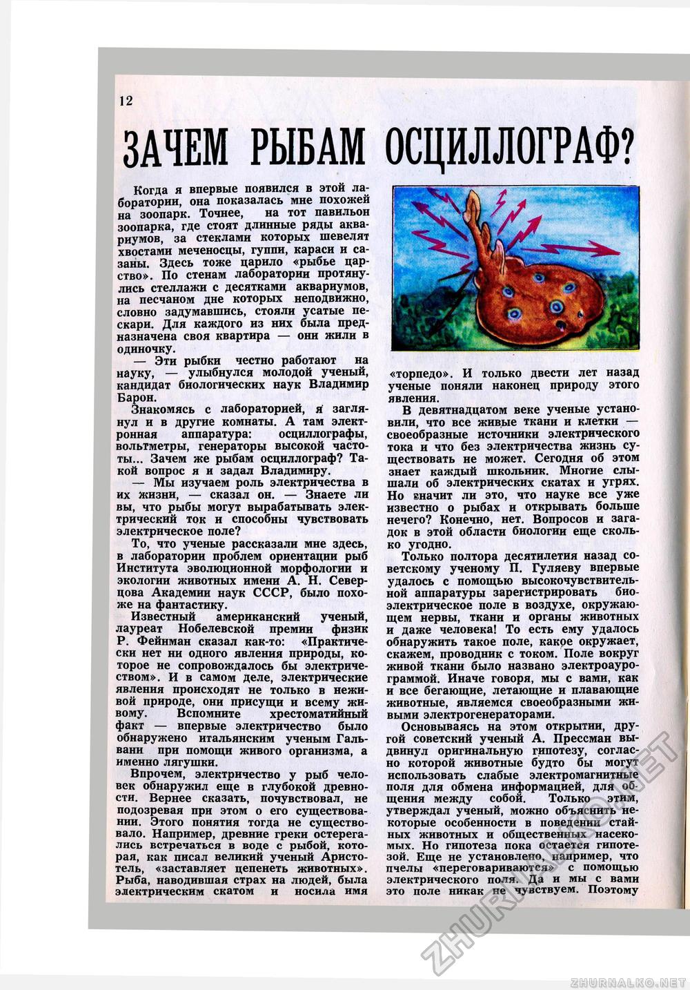 Юный Натуралист 1980-02, страница 13