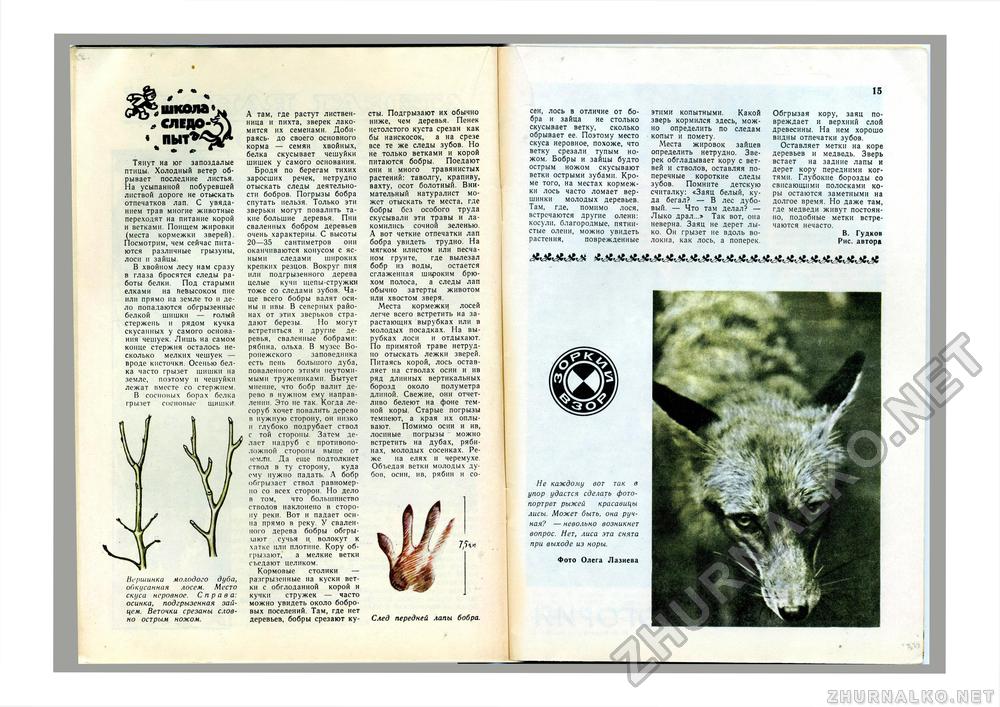 Юный Натуралист 1979-10, страница 15