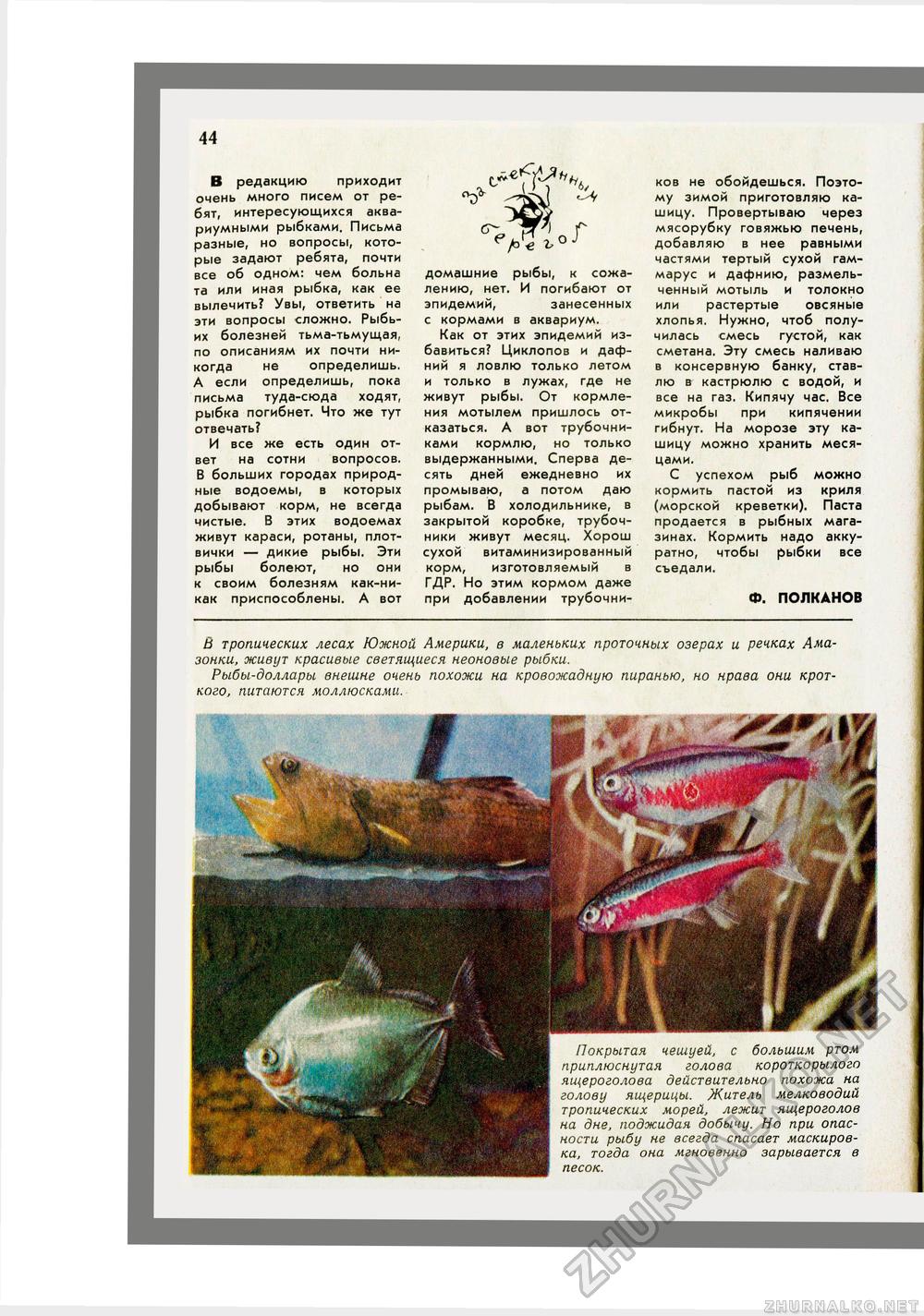 Юный Натуралист 1973-02, страница 35