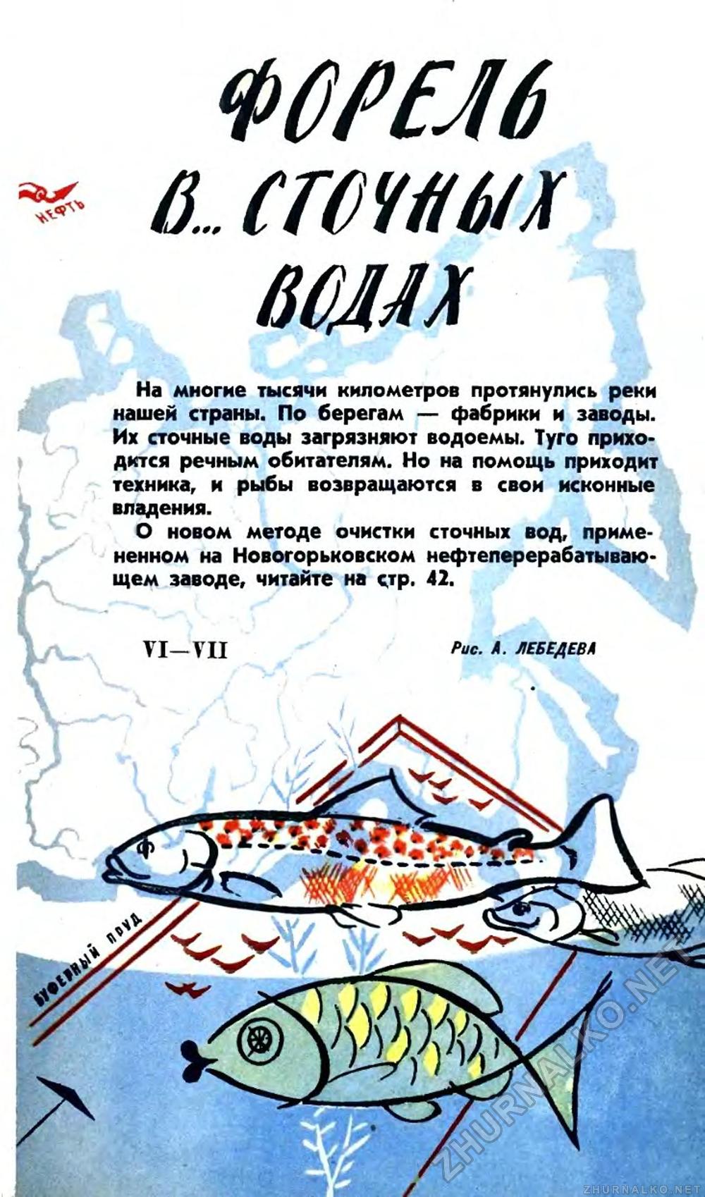   1962-08,  40