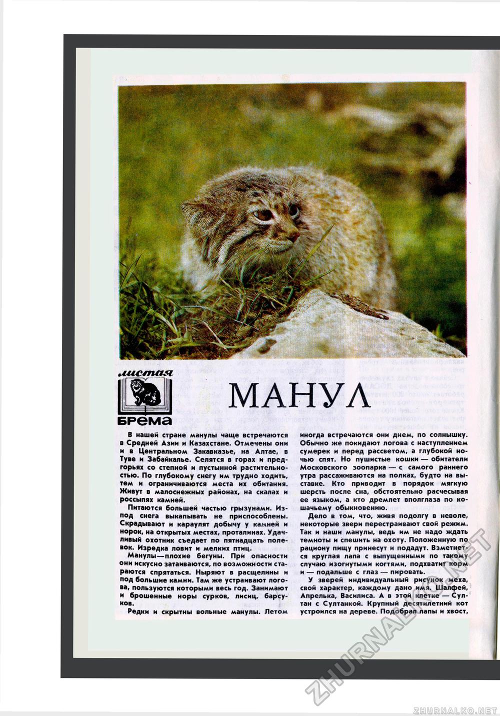 Юный Натуралист 1984-07, страница 34