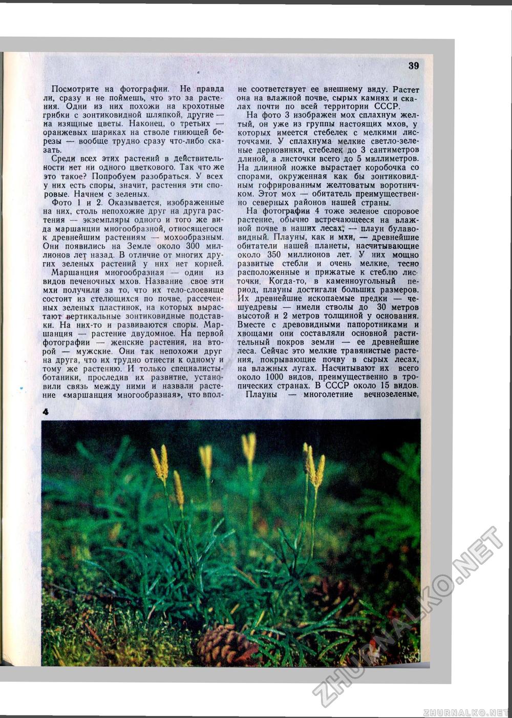 Юный Натуралист 1980-07, страница 41