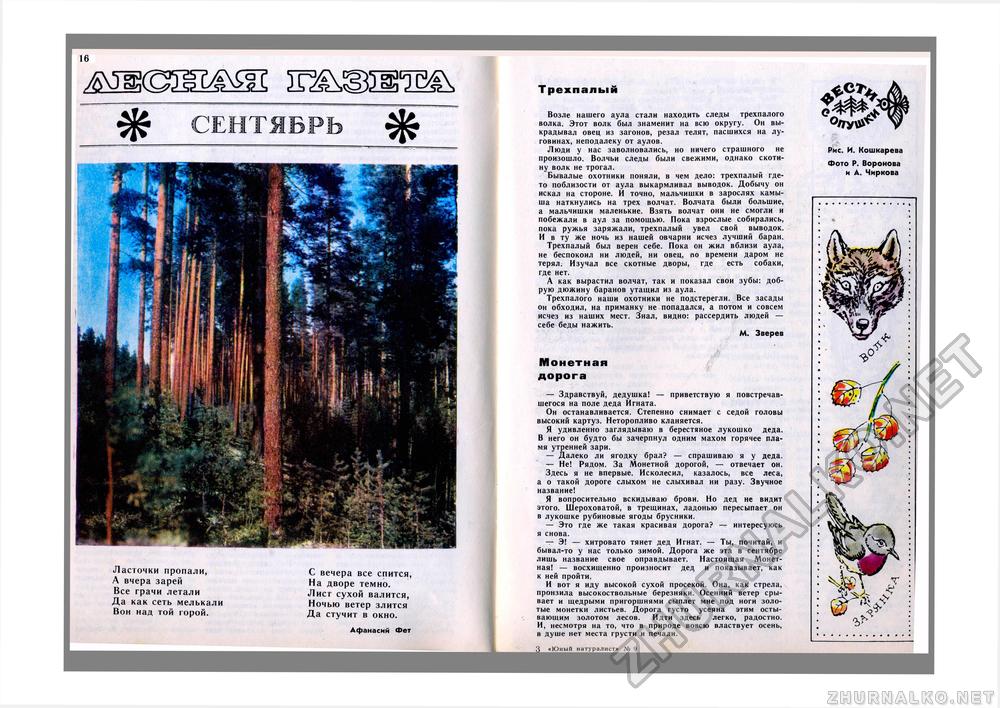 Юный Натуралист 1974-09, страница 17