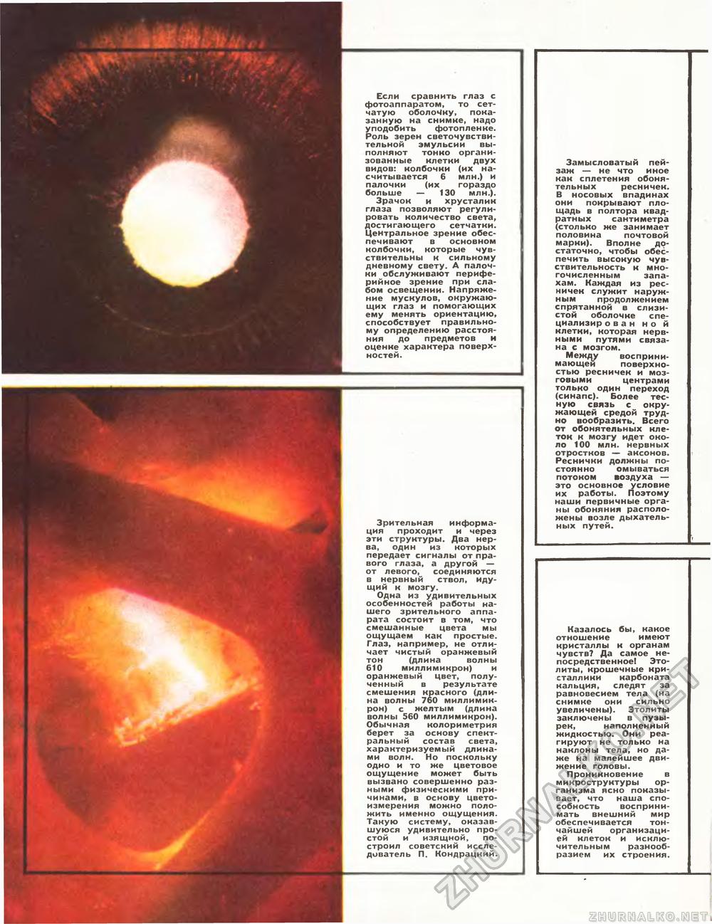 Техника - молодёжи 1972-07, страница 14