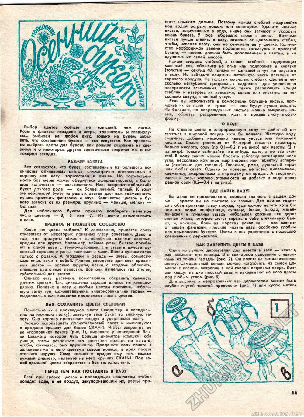 Юный техник - для умелых рук 1985-08, страница 15