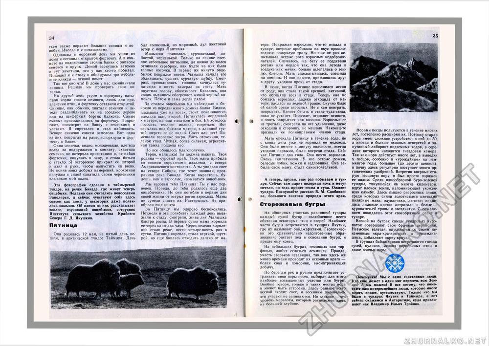 Юный Натуралист 1981-02, страница 25